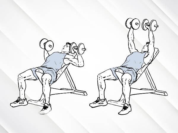 डंबल बैंच प्रेस (Dumbbell Bench Press) डंबल बैंच प्रेस (Dumbbell Bench Press)
