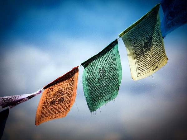 ये दो प्रकार के होते हैं