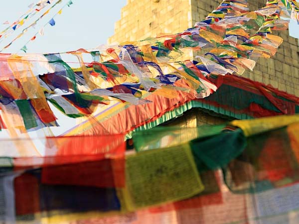 इन्हें कभी ज़मीन पर नहीं रखना चाहिए