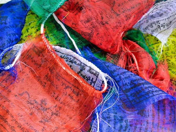 उपहार के रूप में इन्हें पाना बहुत ही शुभ माना जाता है