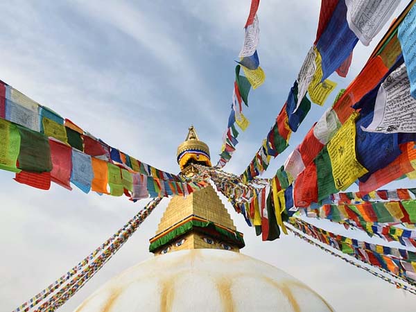 इन्हें ऐसी जगह लगाएं जहां ये हर समय लहराते रहें