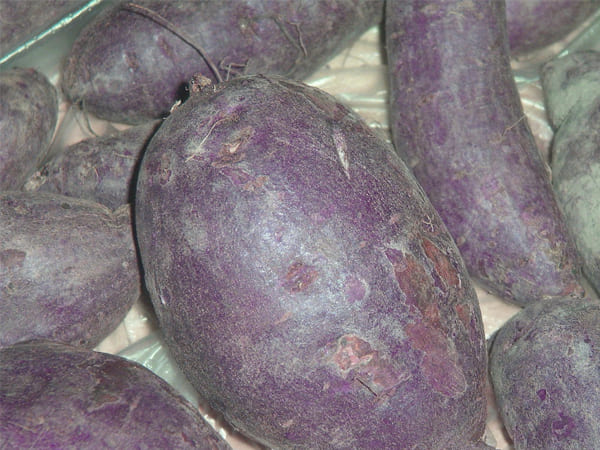 पेट रखें सही