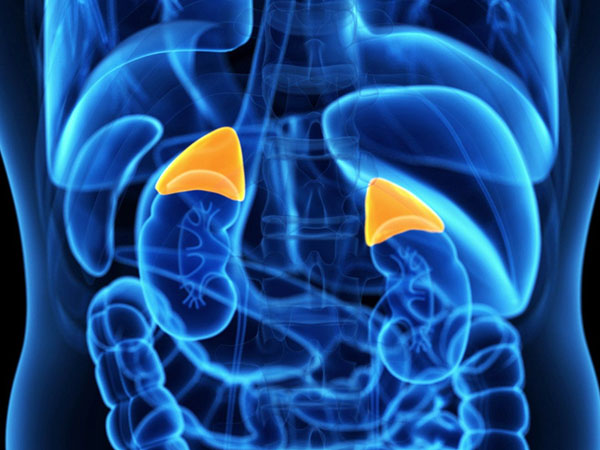 इलाज़ क्या हैं?