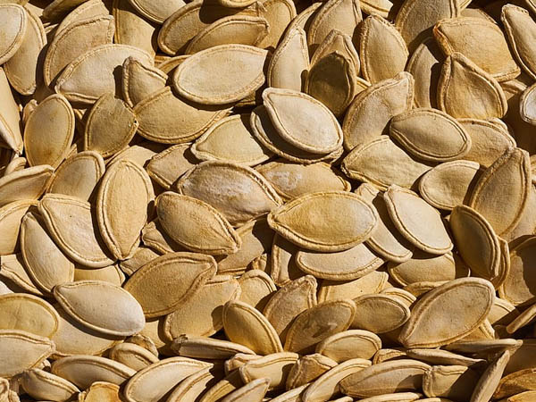 Eight Must Know Muskmelon Seeds Benefits