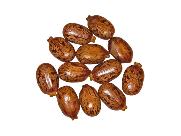 इमरजेंसी पिल्‍स की तरह करता है काम