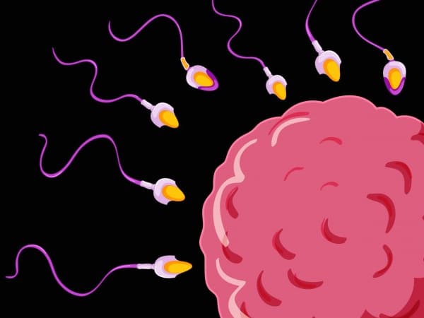 स्पर्म एलर्जी के लक्षण