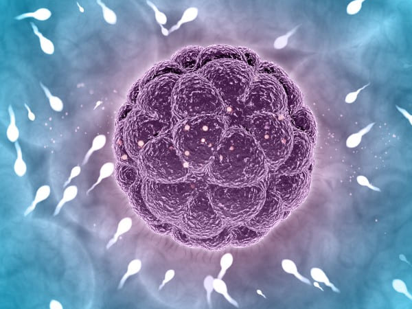 शुक्राणु से एलर्जी का इलाज