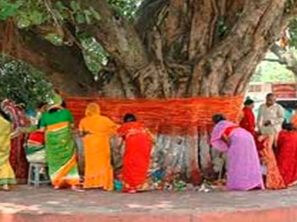 वट सावित्री व्रत की विशेष तिथि 