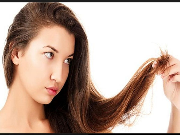 बालों की जड़े