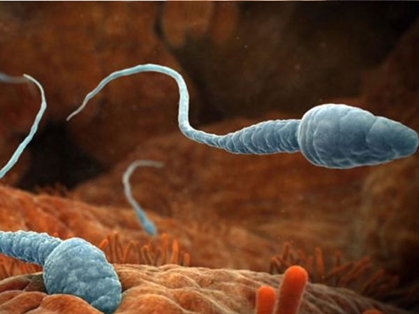 चेहरे की सूजन को कम करता है सीमन फेशियल