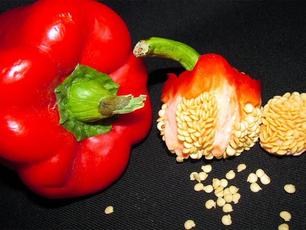 विटामिन सी का अच्छा स्रोत