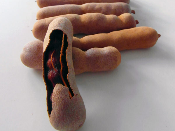  हृदय के लिए लाभकारी हैं इमली के बीज