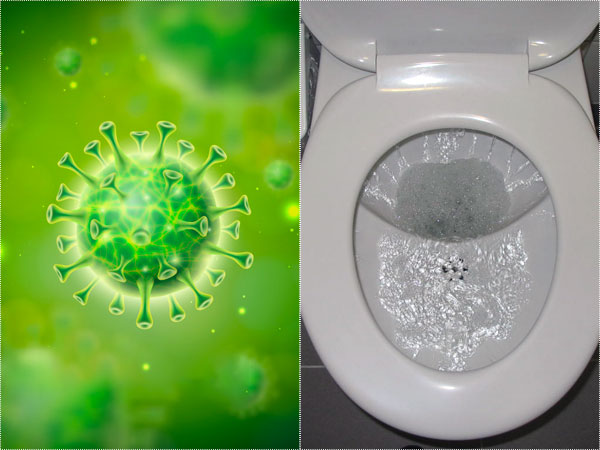 Flushing toilets can spread coronavirus-containing particles in the air: Study