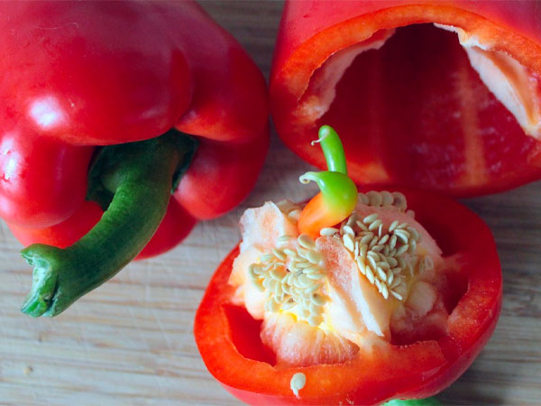 त्वचा के लिए फायदेमंद