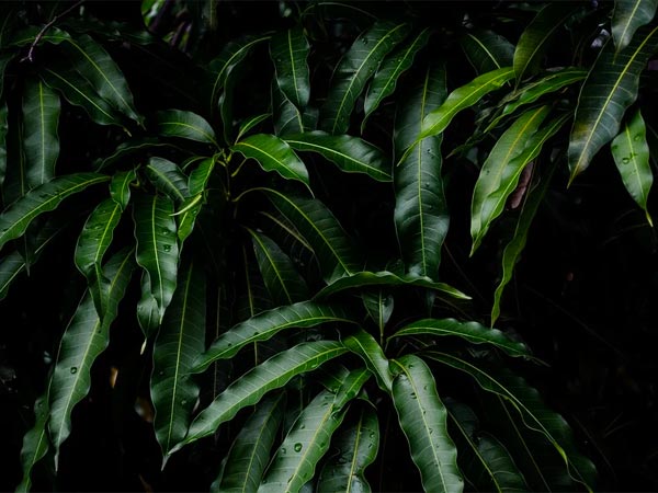 ह‍िचक‍ियां करें बंद