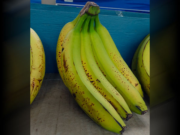 छ‍िलको पर हरापन