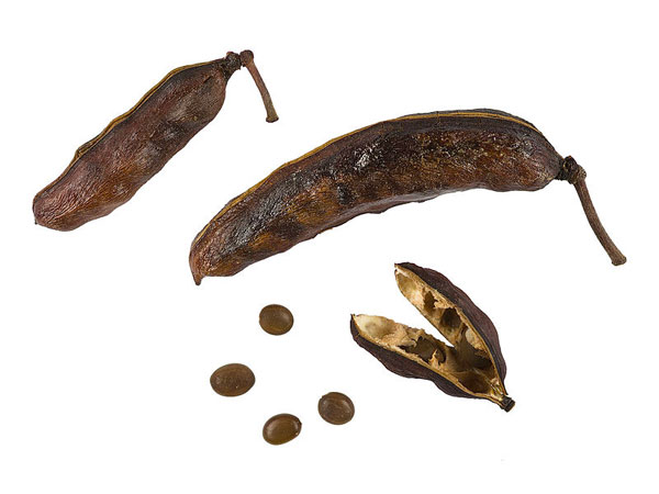 कैंसर की संभावनाओं को करें कम 