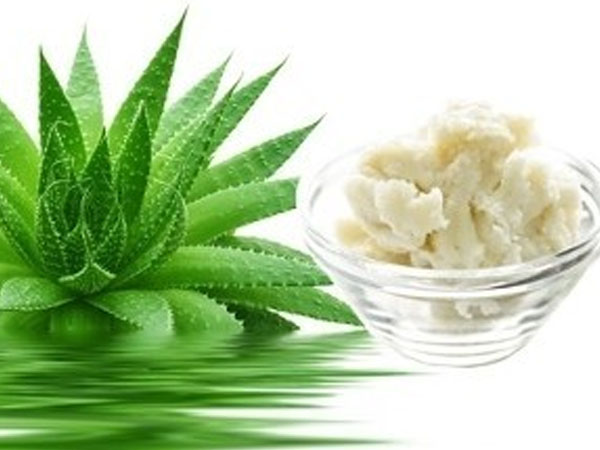 घर पर कैसे बनाए एलोवेरा बटर