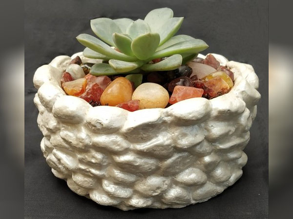 कैक्टस फेस पैक बनाने के तरीके