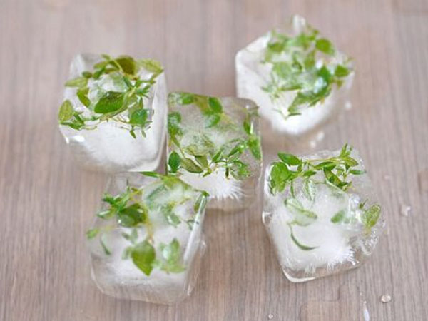 पुदीना और तुलसी आइस क्यूब्स लगाने का तरीका