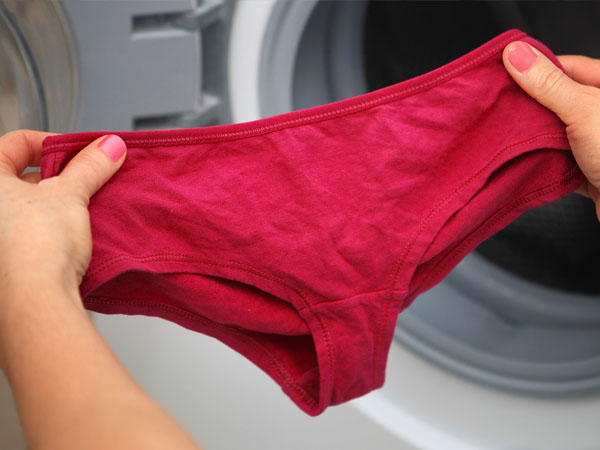 बैक्टेरिया