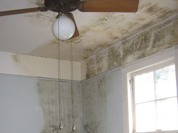 क्यों होती है घरों में सीलन-