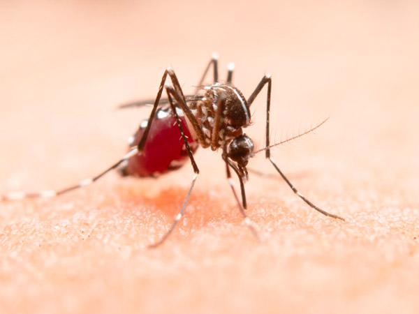 कोरोना के लक्षण