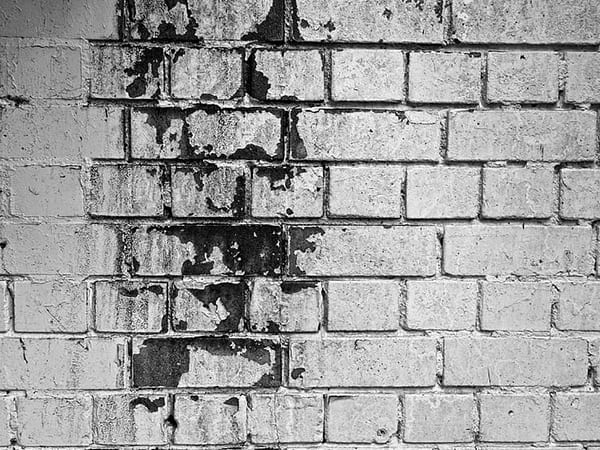  सीलन और फंगस से घर को ऐसे रखें दूर-