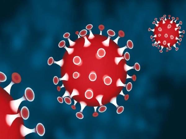 What is Delhi Covid-19 model and why its being discussed in India and abroad