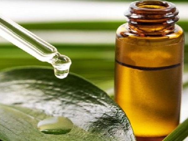 टी ट्री ऑयल