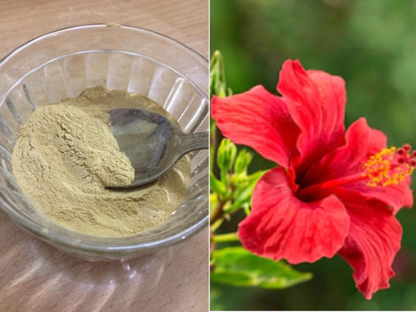 मुल्तानी मिट्टी और गुड़हल का फेस पैक