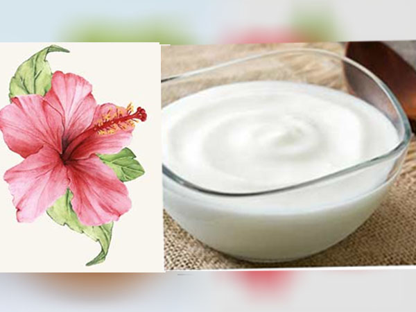 दही और गुड़हल फेस पैक