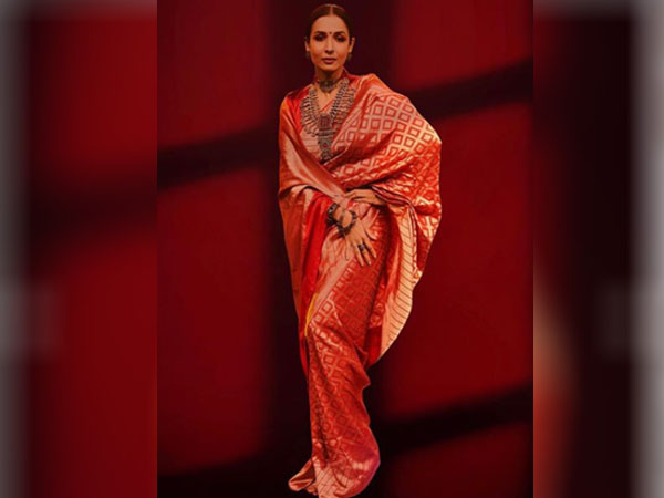 malaika arora silk sari malaika arora silk sari