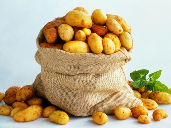 कच्चा आलू