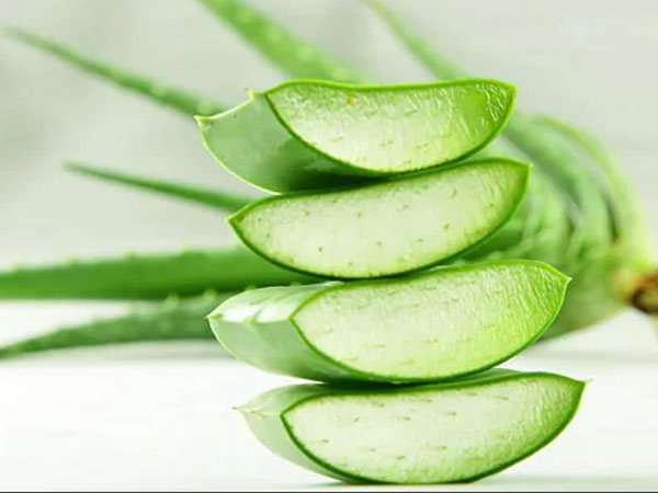 मुंहासों के लिए ऐलोवेरा जेल का इस्तेमाल करें
