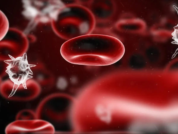 सेप्टिक शॉक का इलाज