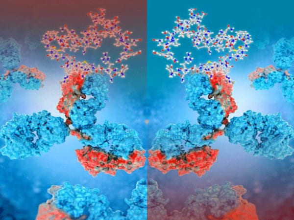  इन्‍हें होता हैं खतरा