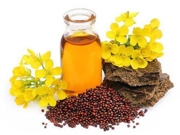 निखरी त्वचा के लिए मददगार है सरसों के तेल का फेस पैक निखरी त्वचा के लिए मददगार है सरसों के तेल का फेस पैक