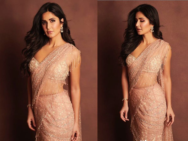 ब्लश पिंक नेट साड़ी 