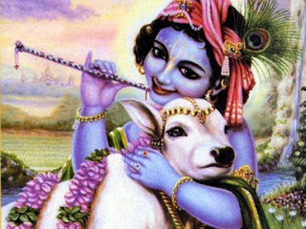 गोपाष्टमी 2020 तिथि एवं शुभ मुहूर्त: 