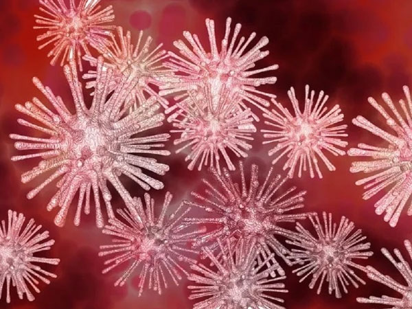 चूहों से फैलता है ये वायरस