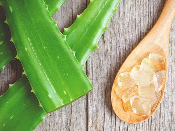 एलोवेरा