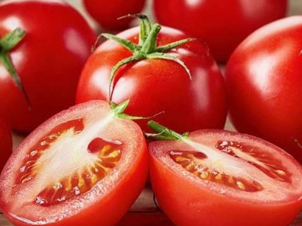 टमाटर 