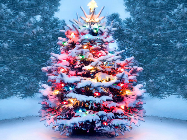 यूं शुरू हुई सजावट