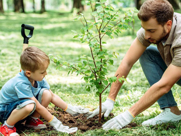 करें प्लांटिंग
