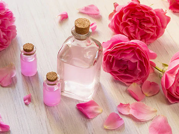 गुलाब की पंखुड़ियों में होते है विटामिन