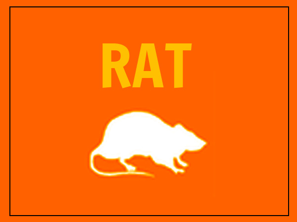 चूहा (Rat)