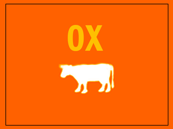 बैल/गाय (Ox/Cow)