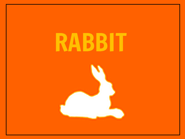 खरगोश (Rabbit)
