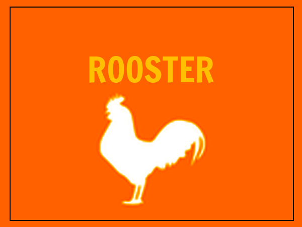 मुर्गा (Rooster)